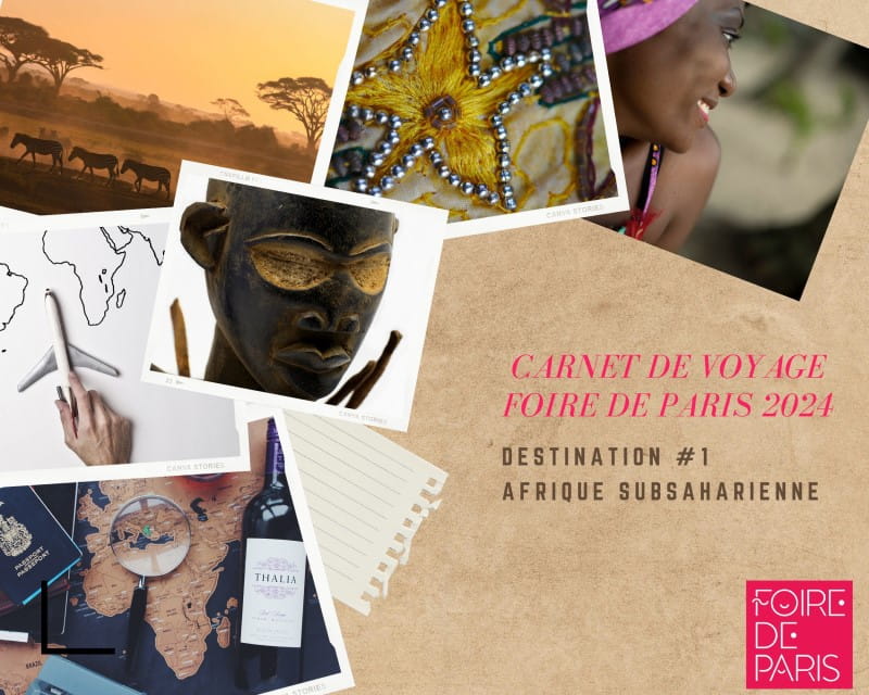 carnet de voyage foire de paris Afrique 