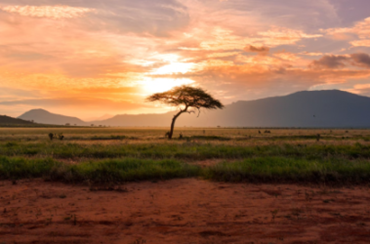 Coucher de soleil en Afrique 