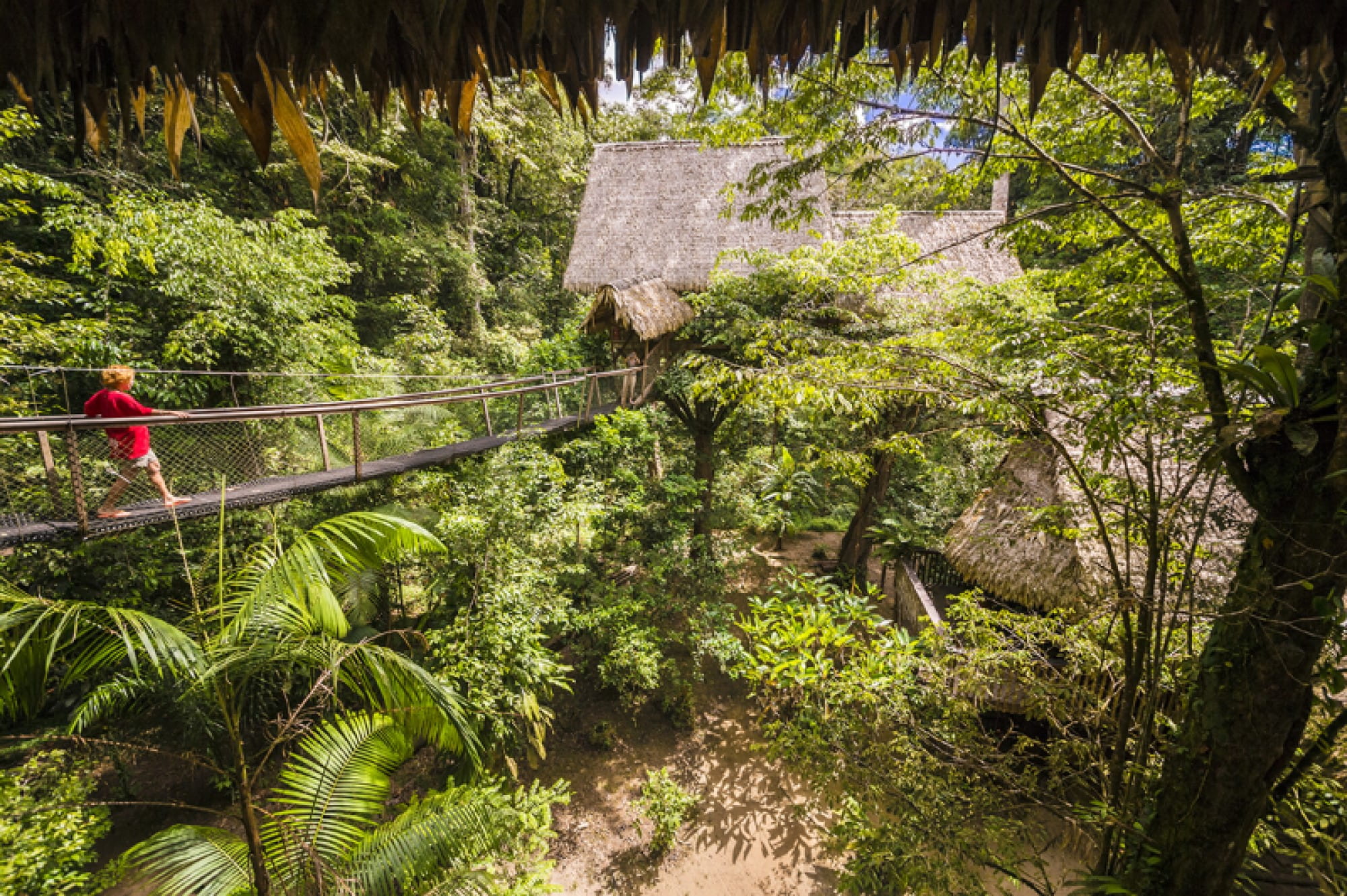 pont suspendu dans une forêt en Guyane