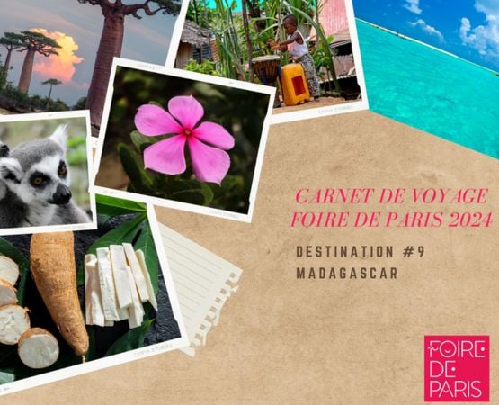 carnet-de-voyage