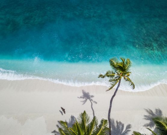 laplage