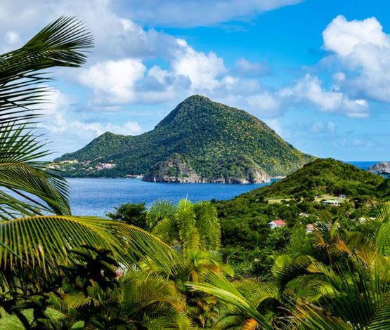 vue aérienne de la Guadeloupe avec les colines arborées et les maisons aux toits rouges et aux murs blancs et l'eau à perte de vue
