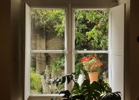 Fenêtre ouverte sur un jardin verdoyant avec plantes d’intérieur et fleurs rouges en pot.
